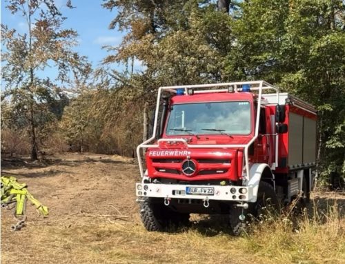 Marsberg: Waldbrand