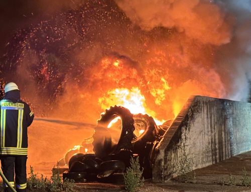 Brand Freifläche, rechts der L776