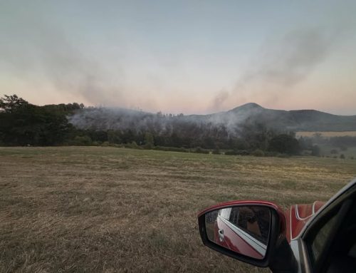 Marsberg: Waldbrand